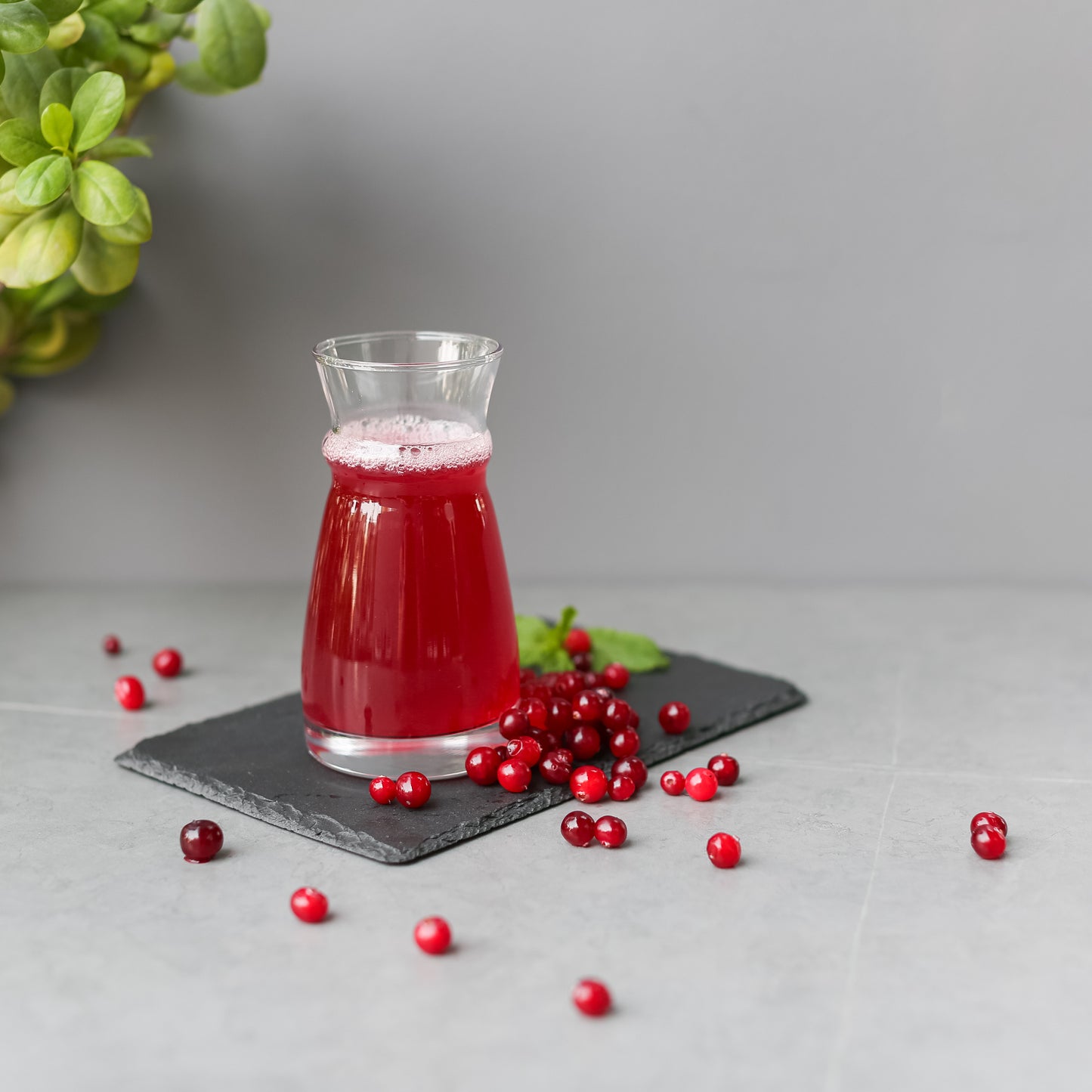 Cranberry Mors